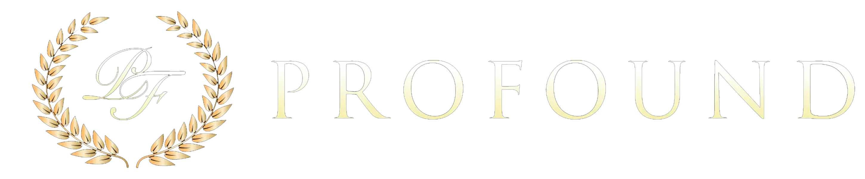 Company logo image